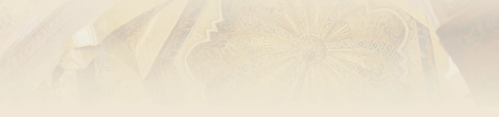 Program background