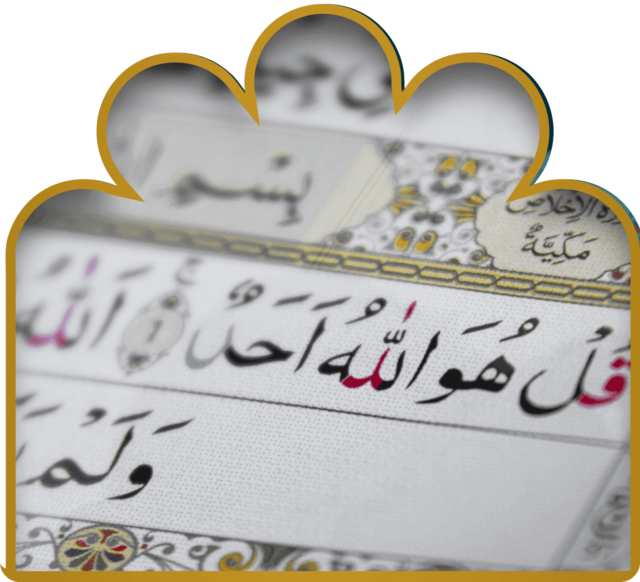 Programme Langue Arabe