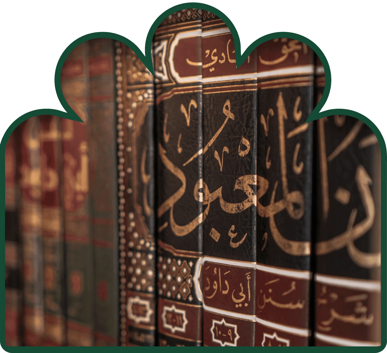 Programme Sciences Islamiques